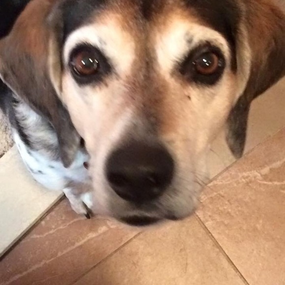 👗👗👗LAST FEW WEEKS FOR ITEMS LISTED WITH 👗👗👗 - Picture 2 of 2